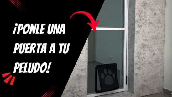 ¿Cómo instalar puerta gatera mosquitera?